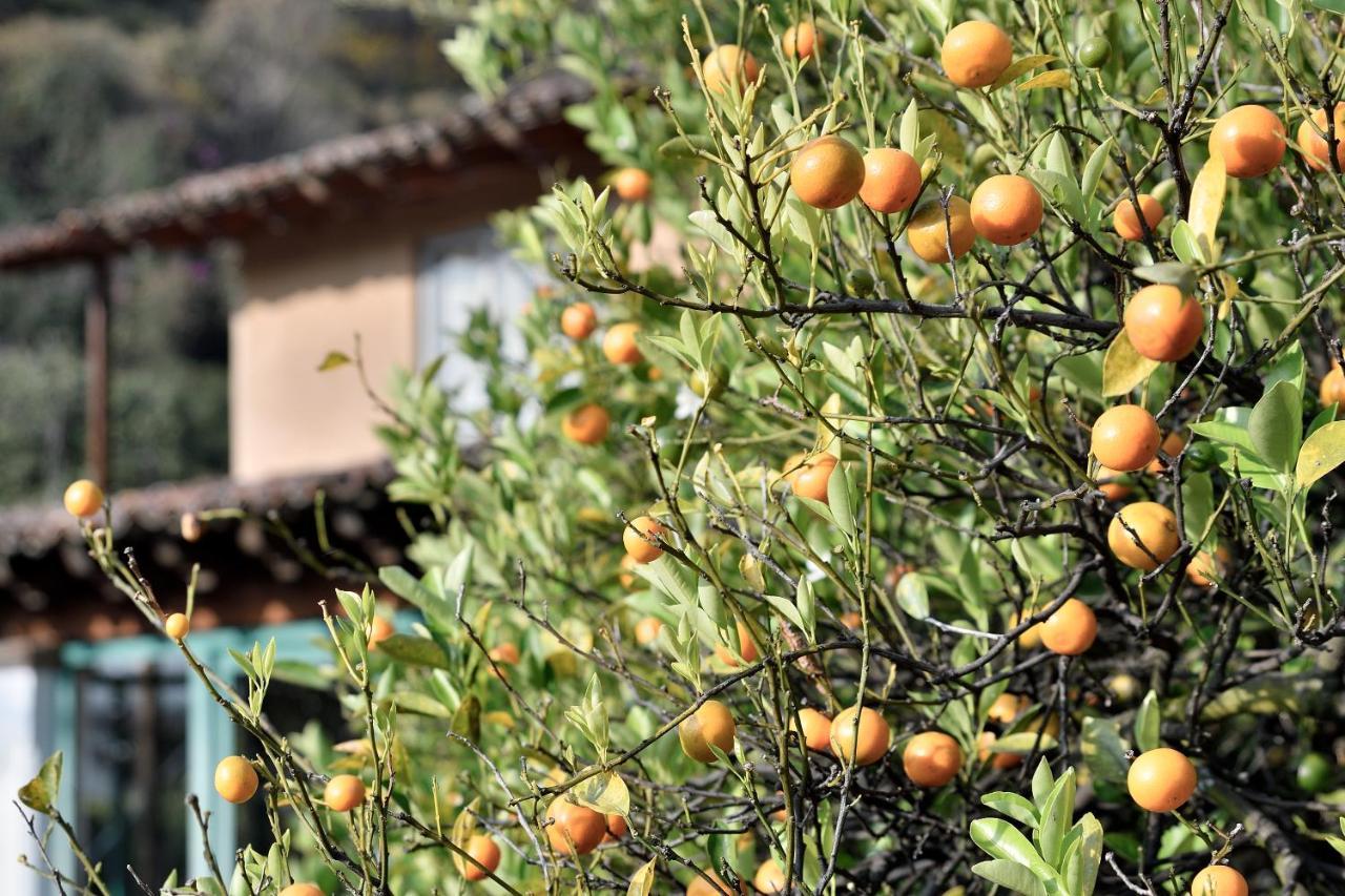 מלינלקו Quinta Cielo - Hotel Boutique Y Restaurante מראה חיצוני תמונה