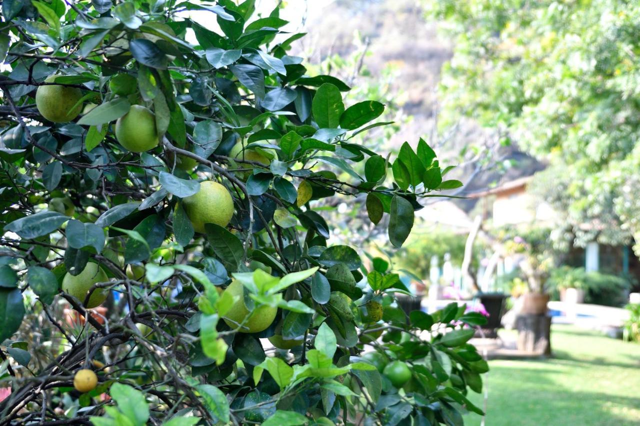מלינלקו Quinta Cielo - Hotel Boutique Y Restaurante מראה חיצוני תמונה
